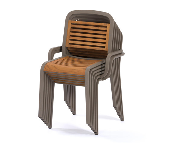 Marumi | Dining Armchair in Teak | Chairs | EGO Paris