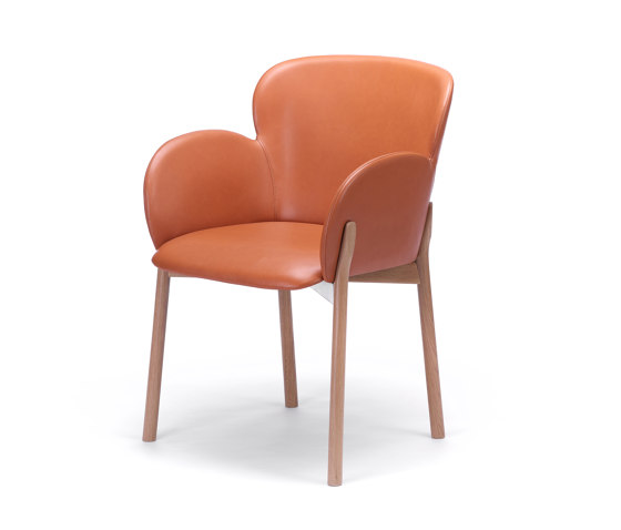 Ginger_37 Armchair | Sedie | TON A.S.