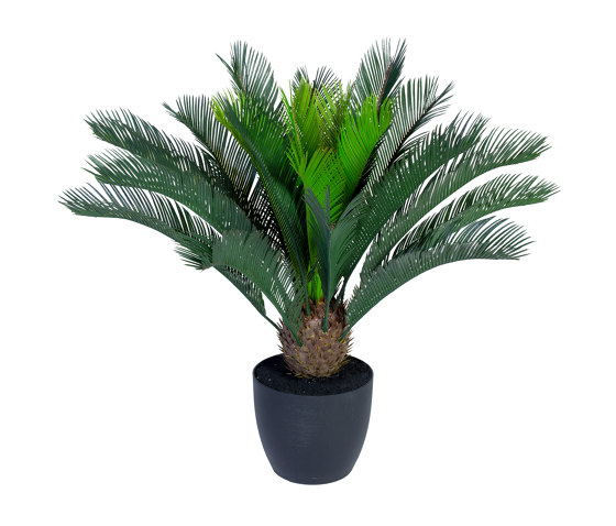 Artificial Plants | Cycas Palm small | Artificial plants | Götessons