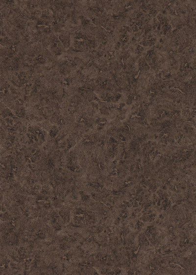 Lacquer Walnut | Wall coverings / wallpapers | Anthology