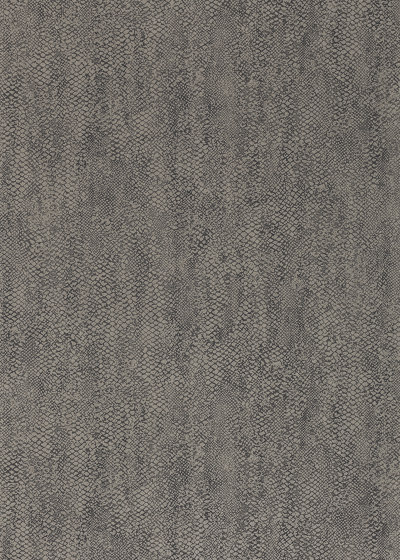 Anaconda Graphite | Wall coverings / wallpapers | Anthology
