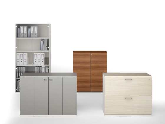 File Wood | Cabinets | Estel Group
