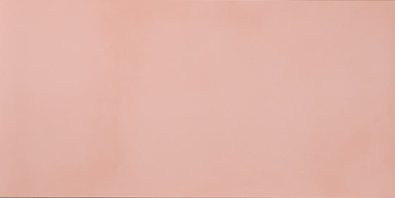 R-Evolution Light Pink | Fassadensysteme | Casalgrande Padana