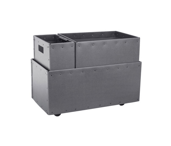 Recycling box Double with clips inside and wheels, graphite | Pattumiere | BIARO