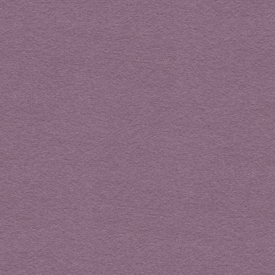 Blazer Scottsdale | Tissus d'ameublement | Camira Fabrics