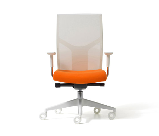Fit Mesh - Task chairs | Office chairs | Diemme