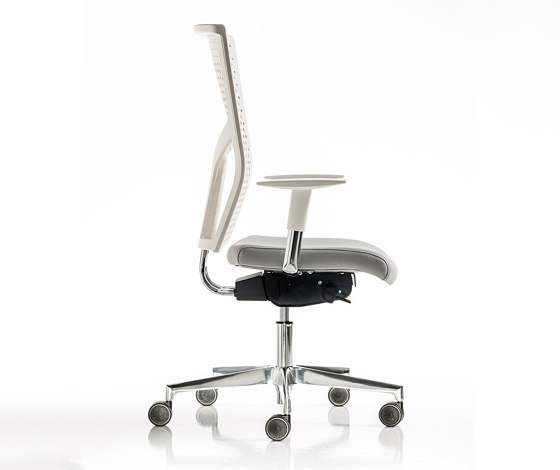 Fit Poly | Office chairs | Diemme