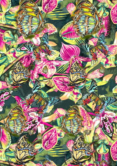 Flowers Butterflies white | artist wallpaper | Revêtements muraux / papiers peint | Ginny Litscher