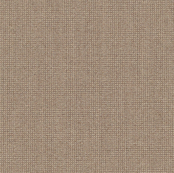 Elastic Wool | Seed | Upholstery fabrics | Luum Fabrics
