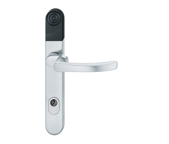 FSB 1043 Fitting versions for outer doors | Handle sets | FSB