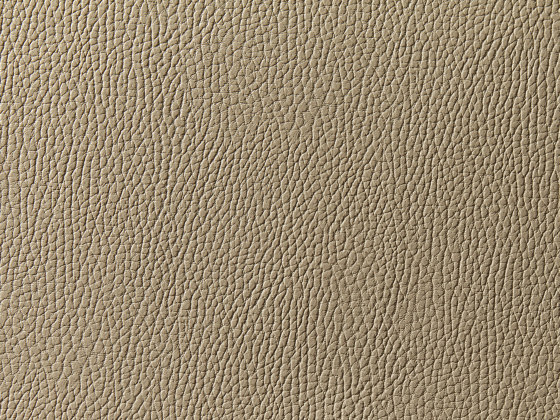 Levante 883 | Upholstery fabrics | Zimmer + Rohde