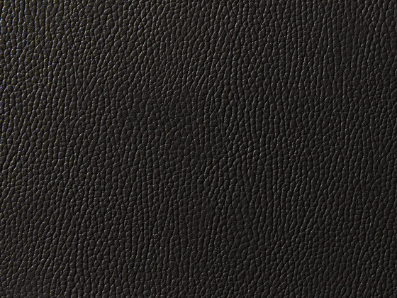 Levante 998 | Upholstery fabrics | Zimmer + Rohde