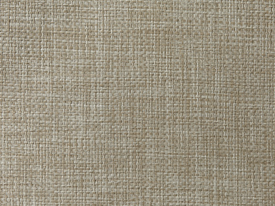 Paper Weave 890 | Revêtements muraux / papiers peint | Zimmer + Rohde