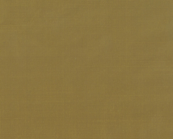Canto - 73 gold | Drapery fabrics | nya nordiska