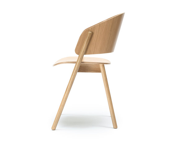 Chameleon Chair | Sedie | Feelgood Designs