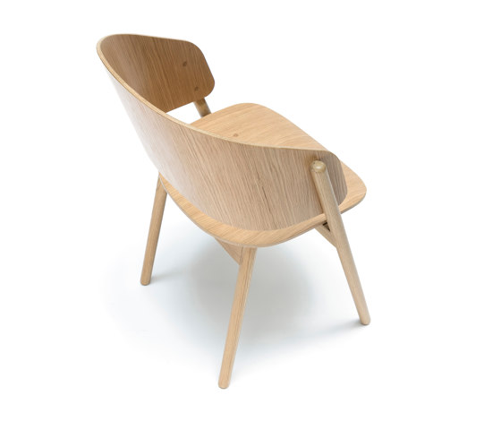 Chameleon Chair | Sillas | Feelgood Designs