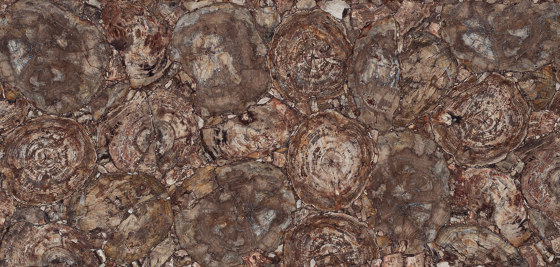 Petrified Wood | Mineralwerkstoff Platten | Caesarstone