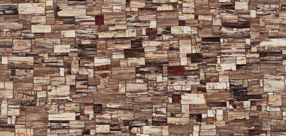 Petrified Wood – Classic | Mineral composite panels | Caesarstone