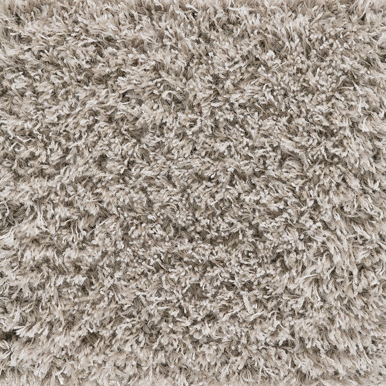 Chique | Oyster 802 | Tapis / Tapis de designers | Kasthall