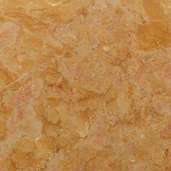 Materiales | giallo reale | Planchas de piedra natural | Lithos Design