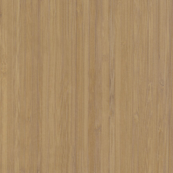 Essences de bois | Dryades | RM 420 15 | Revêtements muraux / papiers peint | Elitis