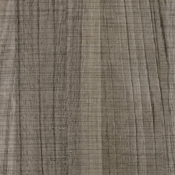 Essences de bois | Dryades | RM 421 75 | Revêtements muraux / papiers peint | Elitis
