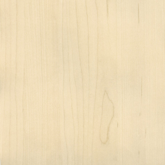 Essences de bois | Dryades | RM 427 01 | Revêtements muraux / papiers peint | Elitis