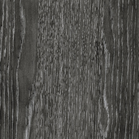 Essences de bois | Dryades | RM 429 80 | Revêtements muraux / papiers peint | Elitis