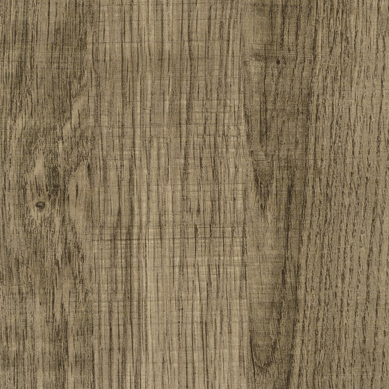 Essences de bois | Dryades | RM 432 15 | Revêtements muraux / papiers peint | Elitis