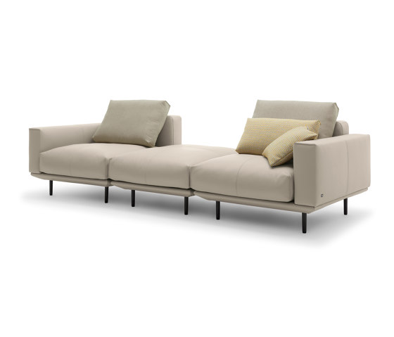 Rolf Benz 530 VOLO | Sofas | Rolf Benz