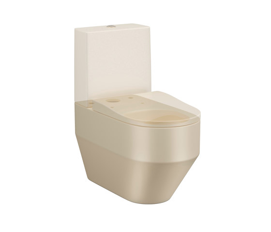 TOILETS | Close-coupled WC | Greige | WCs | Armani Roca