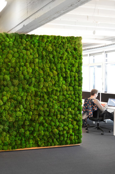 Green Walls Provence Moss | Privacy screen | Greenmood
