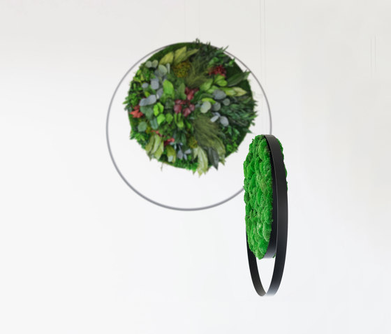 Rings | Sound absorbing objects | Greenmood