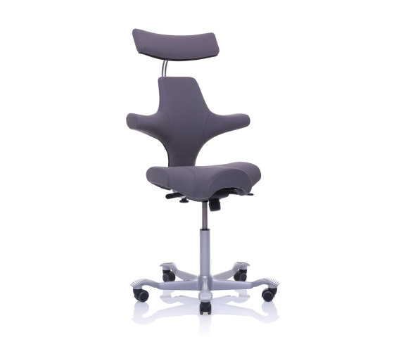 HÅG Capisco 8107 | Office chairs | Flokk