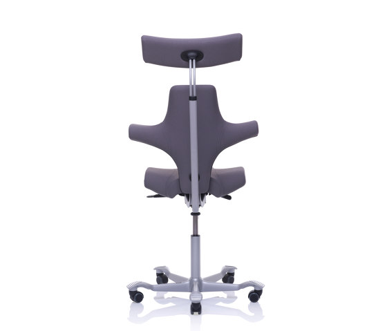 HÅG Capisco 8107 | Office chairs | Flokk
