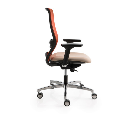 Pop | Office chairs | Luxy