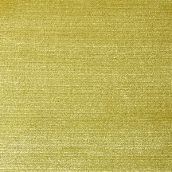 Romeo & Giulietta | Col.143 Yellow | Drapery fabrics | Dedar