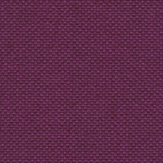 King L Kat | 015 | 5014 | 05 | Upholstery fabrics | Fidivi