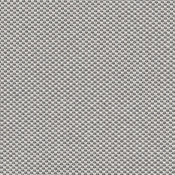 One | 036 | 8504 | 08 | Upholstery fabrics | Fidivi
