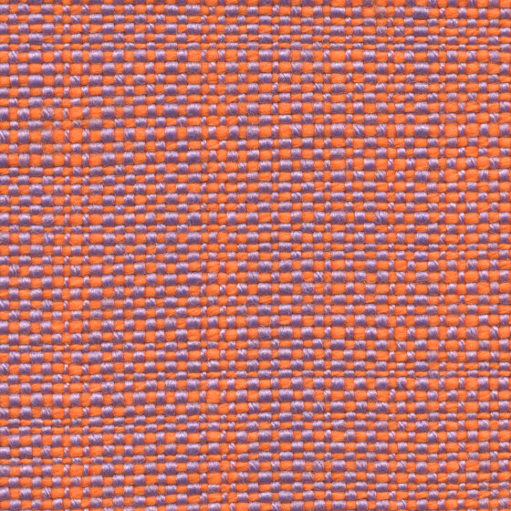Safari | 005 | 9305 | 03 | Upholstery fabrics | Fidivi