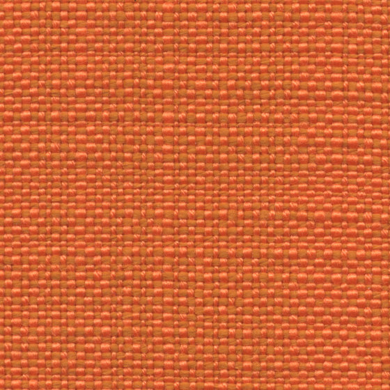 Safari | 006 | 9312 | 03 | Upholstery fabrics | Fidivi