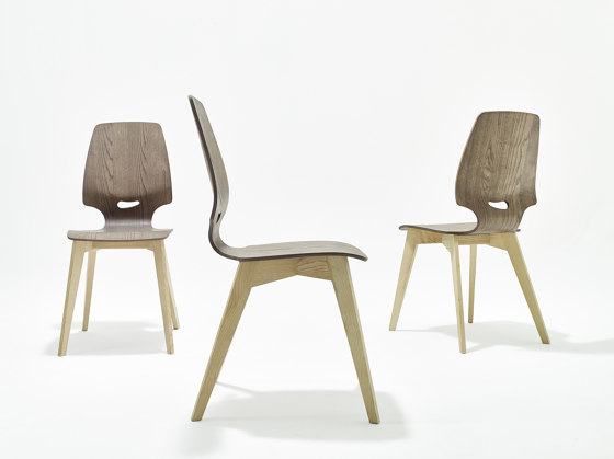Finn chair | Sillas | Sixay Furniture