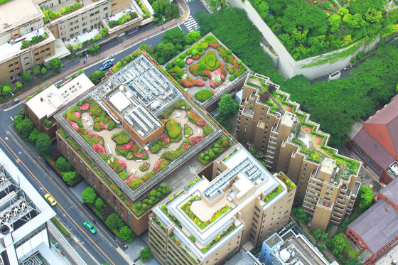 Garden Design | Green Roofs |  | Verde Profilo