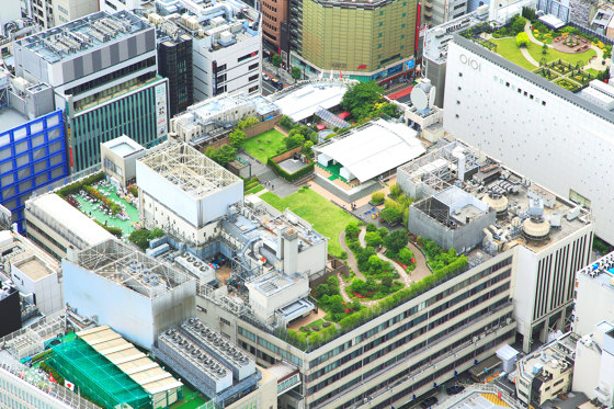 Garden Design | Green Roofs |  | Verde Profilo