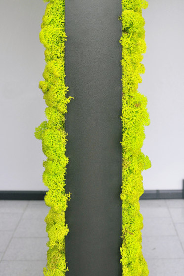 MOSSwall® Room Divider structure | Wall partition systems | Verde Profilo