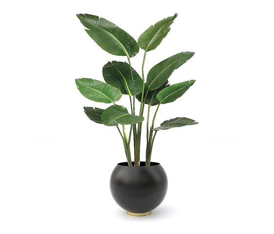 Globe | flower pot | Vasen | AYTM