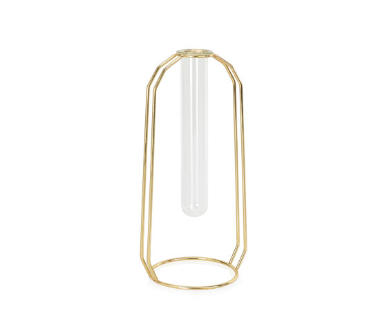 Decoration Complemens | Glass Tube/ Gold Metal Vase 12X10X25 | Vases | Andrea House