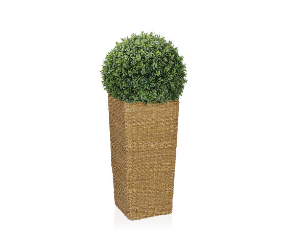 Planters | Seagrass/Metal Planter 25X25X62 cm |  | Andrea House
