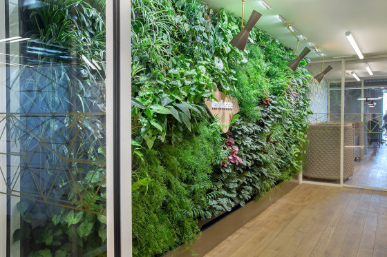 Vertical Gardens | VP-Modulo | Living / Green walls | Verde Profilo