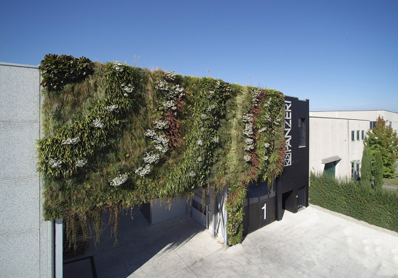 Vertical Gardens | VP-Modulo | Fassadenbegrünung | Verde Profilo